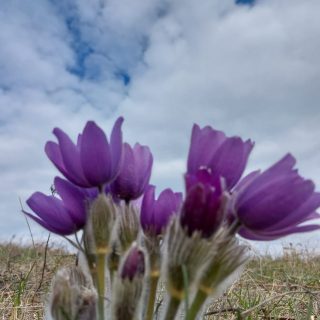 Фотоработы участников конкурса «Самая красивая весна»