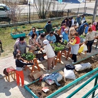 Дачный сезон начинается с библиотеки